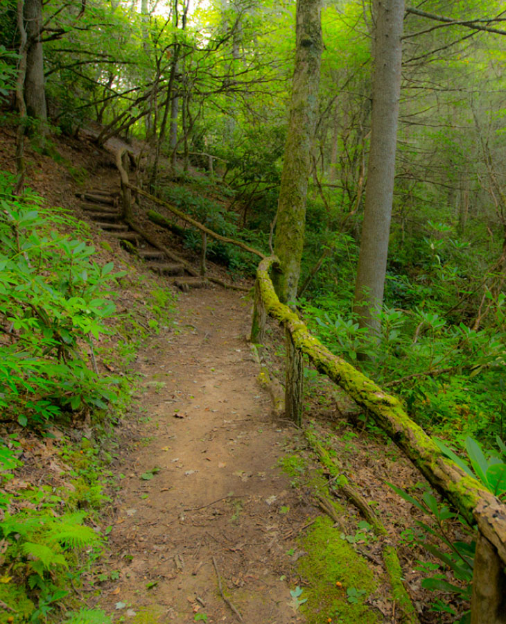 Hiking Trails
Take in miles of scenic forest trails with no end in sight.